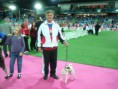 /album/fotogaleria/lievin-7-8-9-10-2011-136-jpg/